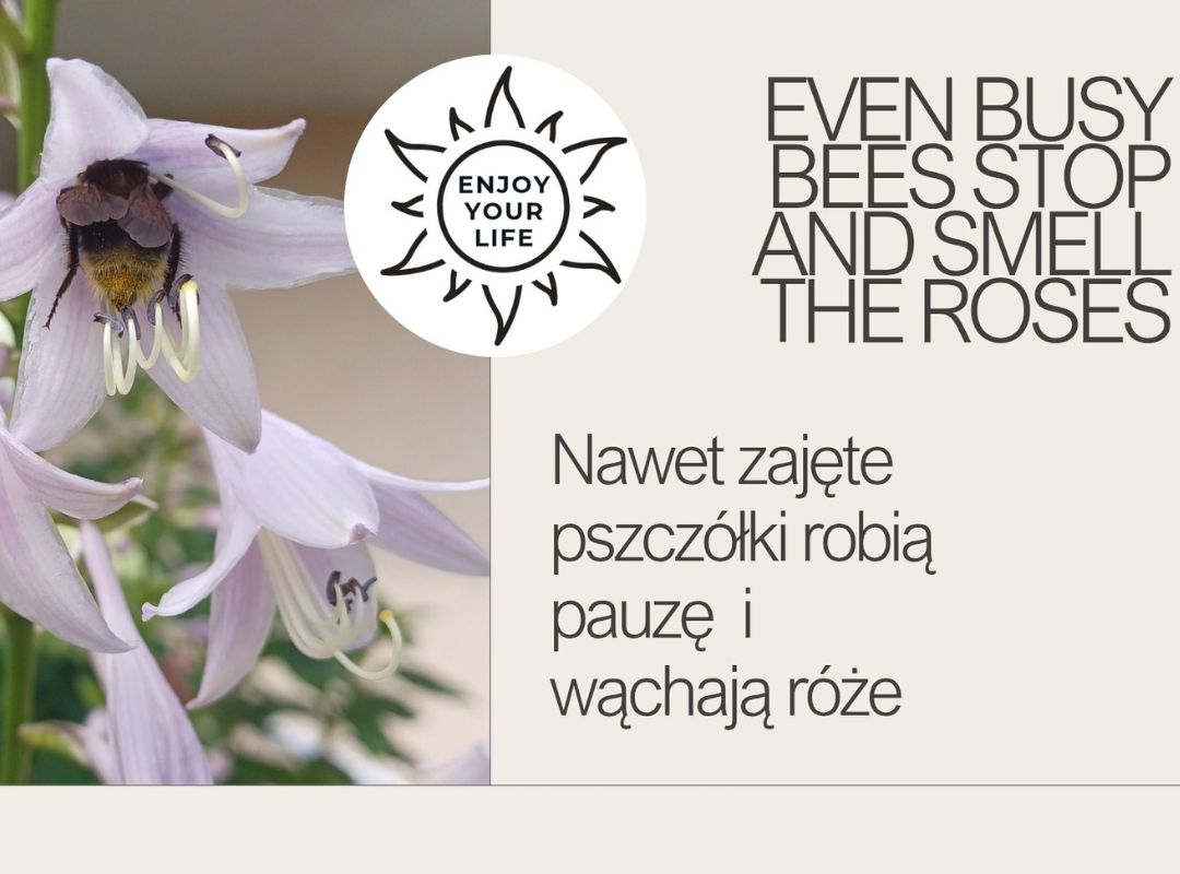 Karty Motywacyjne “Busy bees”